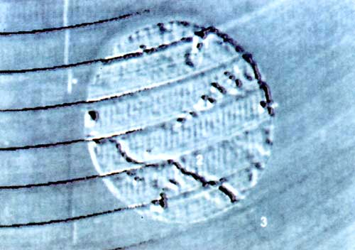 tavr-s (500x352, 149Kb)