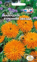 kalendula_utrennyaya_zvezda (150x250, 70Kb)