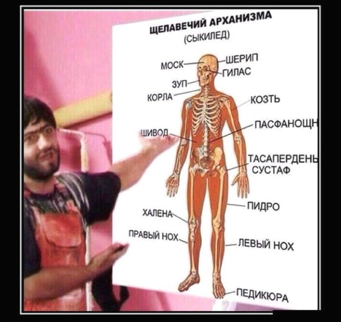   (700x660, 55Kb)