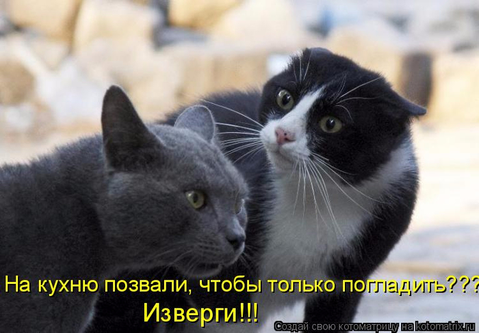 http://img0.liveinternet.ru/images/attach/d/1/133/651/133651974_Stimkaru_1319114835_000.jpg