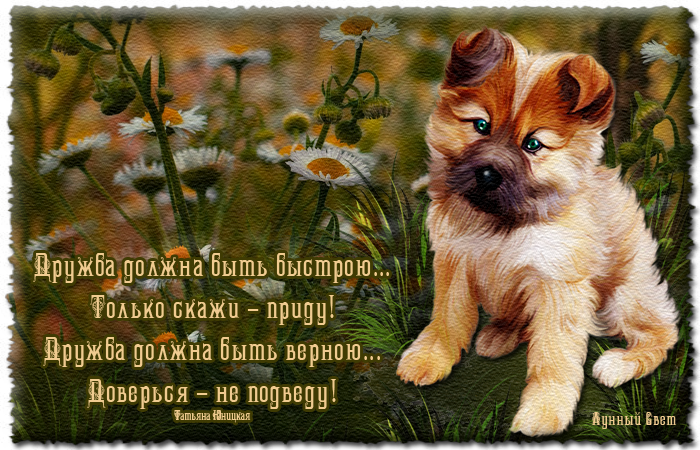 Стих Мой Верный Друг