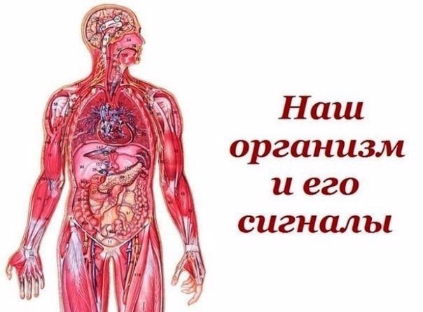 загружено (3) (604x446, 175Kb)
