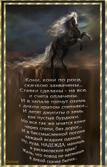 Полностью конь текст. Стихи про лошадей. Стихи про лошадей красивые. Стихотворение про лошадь красивое. Красивое стихотворение про коня.
