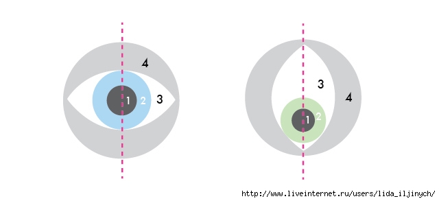 pompom-eyes-diagram (640x293, 34Kb)