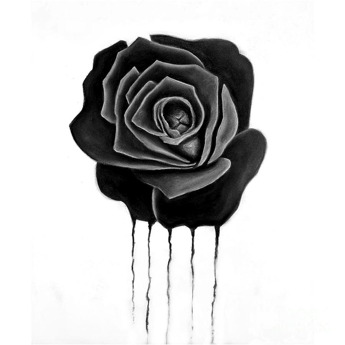 97e82758d2adfe45a9d7814d99f9ed53 (700x700, 138Kb)
