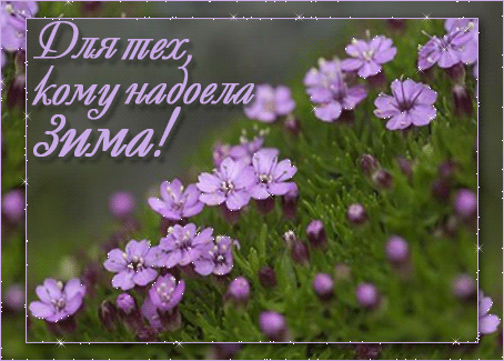  (454x325, 126Kb)