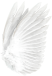  Beautiful Angel (76) (486x700, 342Kb)