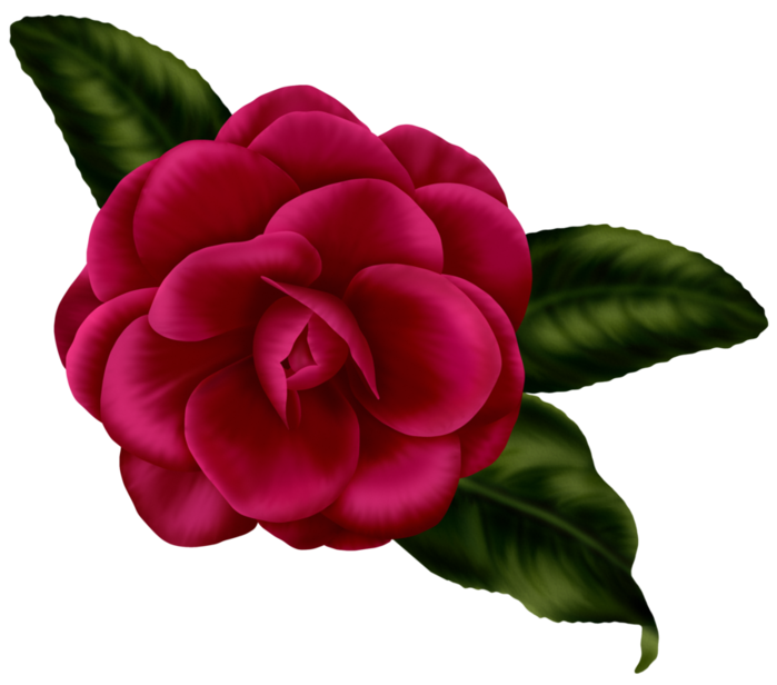 bsd_Floral Elegance_ Element (19) (700x616, 250Kb)