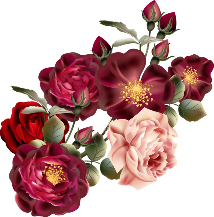 Beautiful Roses #4 (01) (691x700, 451Kb)