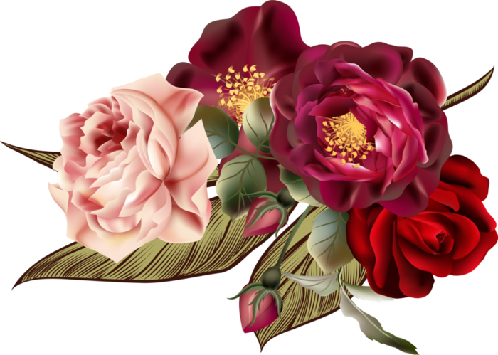 Beautiful Roses #4 (02) (700x499, 356Kb)