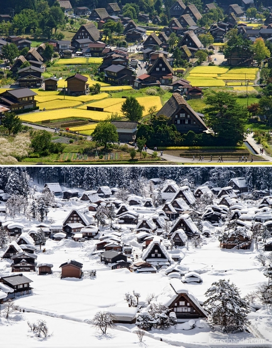 summer-winter-43-802x1024 (548x700, 384Kb)