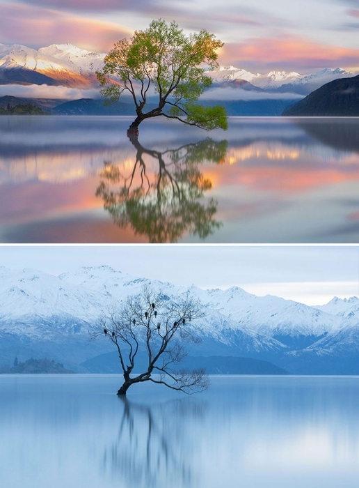 summer-winter-37-755x1024 (516x700, 222Kb)