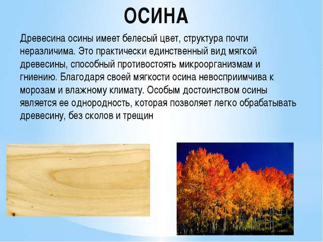 древесина свойства и применение