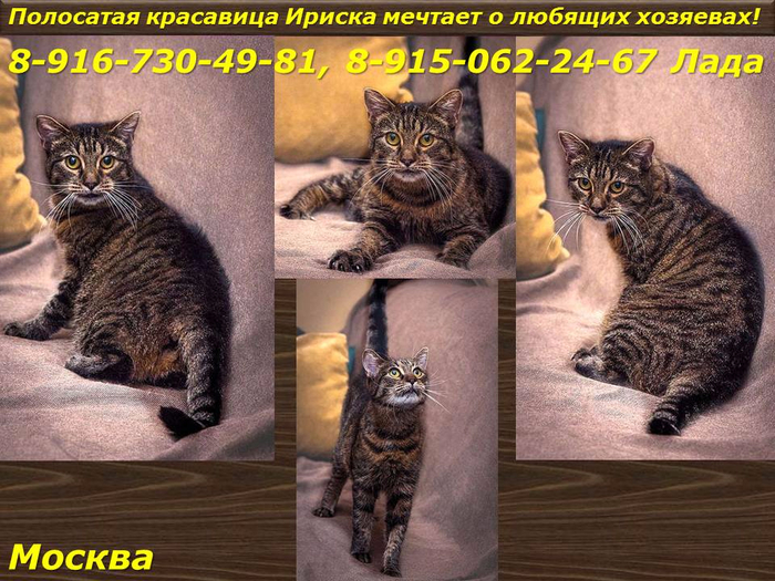 Слайд3а (700x525, 439Kb)