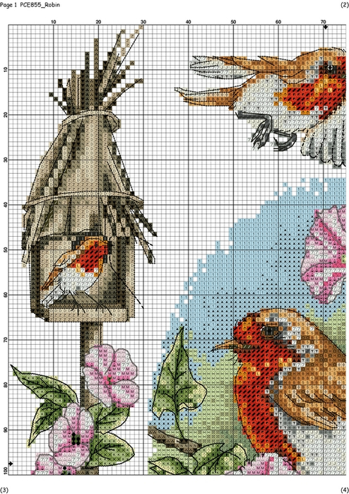 Robin-001 (494x700, 445Kb)