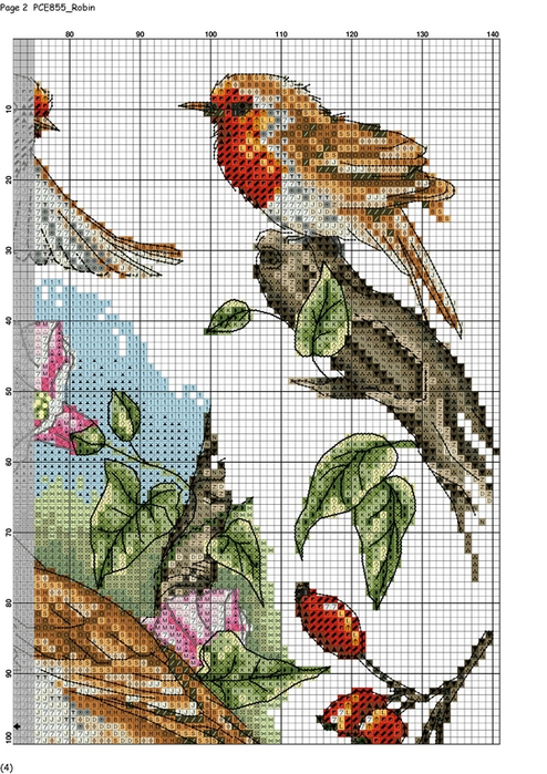 Robin-002 (494x700, 399Kb)