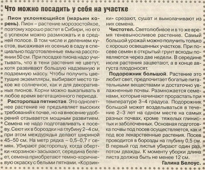 5158259_lnkarstvennie_rasteniya21 (700x580, 161Kb)