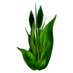  27el (700x700, 269Kb)
