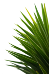  57el (265x396, 165Kb)