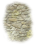  79el (572x700, 830Kb)
