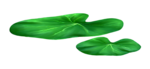  84el (700x322, 113Kb)