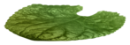  94el (700x242, 209Kb)