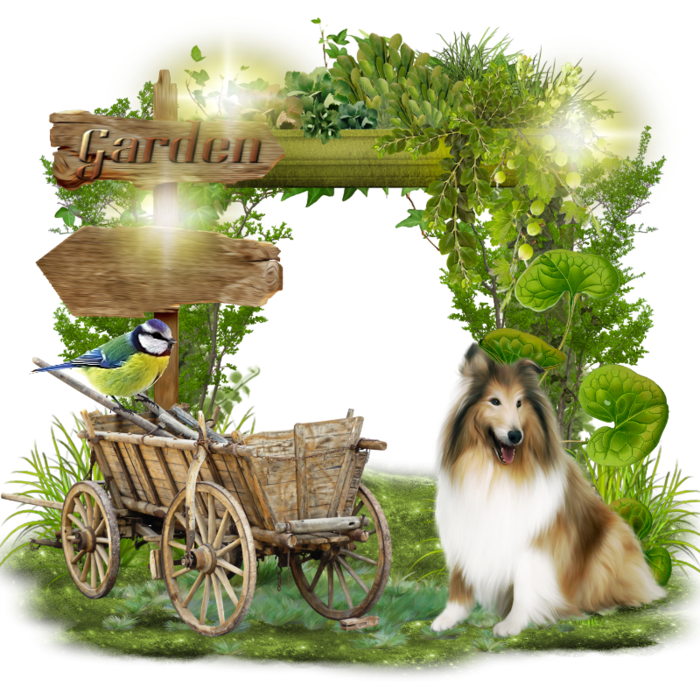 cluster5 (700x700, 820Kb)