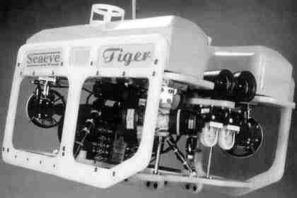 tiger (420x280, 35Kb)