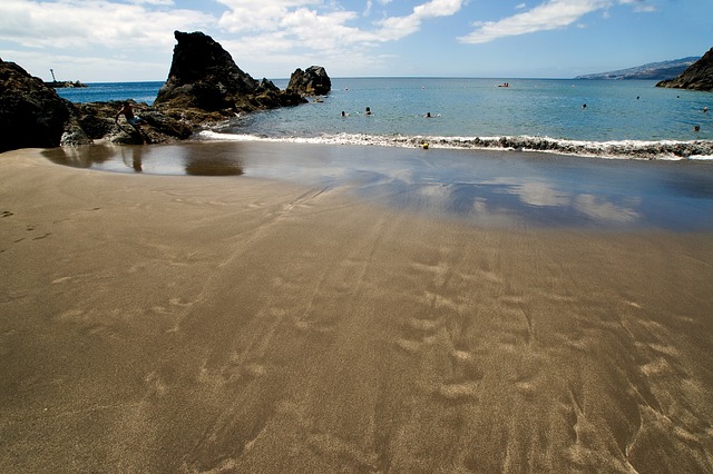 1487178198_madeira-578297_640 (640x426, 90Kb)