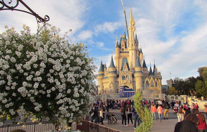      , Disneyland / , Florida / 