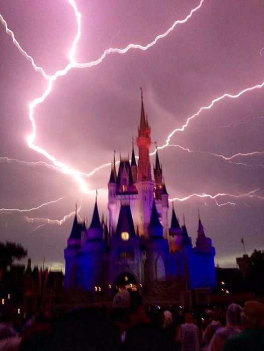      , Disneyland / , Florida / 