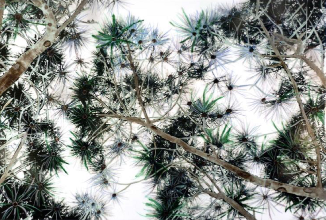 Shiver, 2011 (652x441, 661Kb)