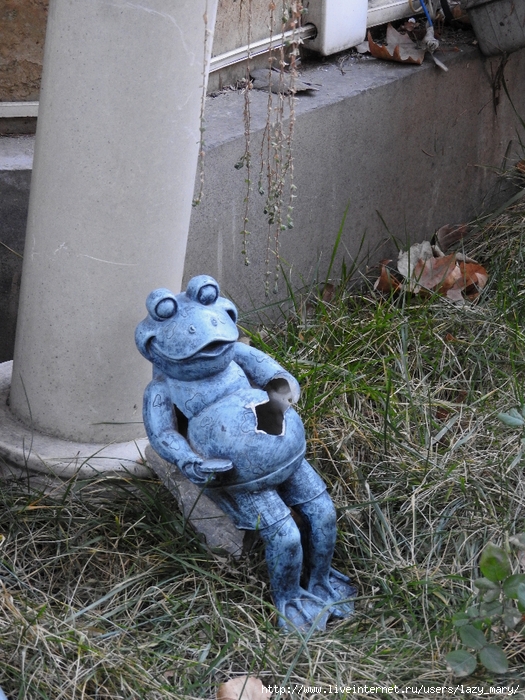 DSCN3463 (525x700, 378Kb)