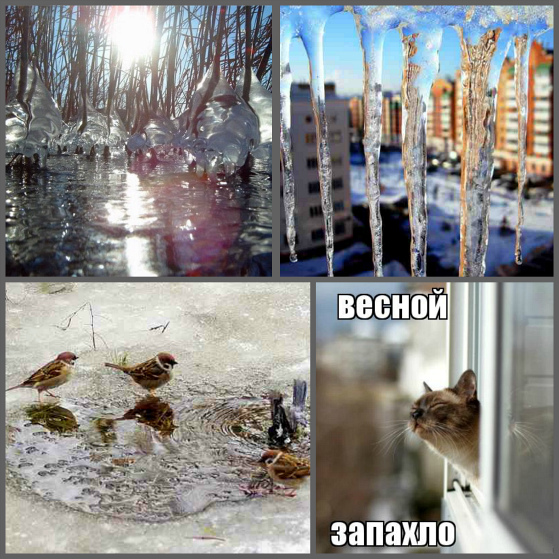 Дню, картинки запахло весной прикольные