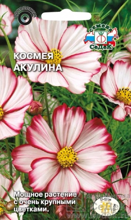 kosmeya_akulina (266x447, 185Kb)