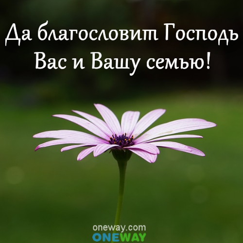 Открытка благослови господи