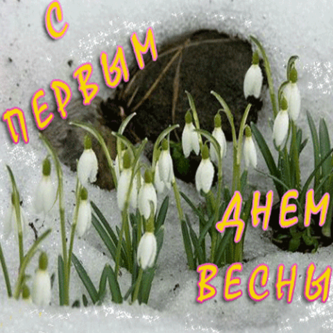 Десять дней до весны краткое содержание. С первым днем весны. S prrvom dnyon Vesni. С первым днем ве нсны.