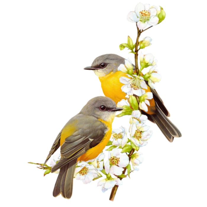 19 (700x700, 335Kb)