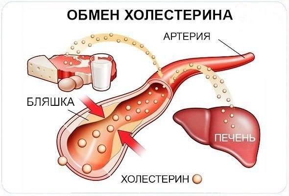 2971058_Ik5EvxzADfA (590x400, 43Kb)