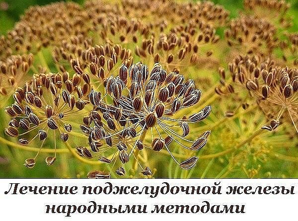 image (1)6 (600x445, 110Kb)