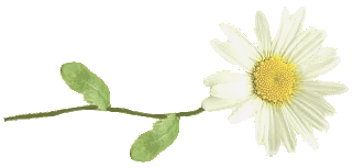c4b1aab452fa (321x153, 12Kb)