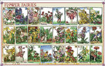  dmc-bl94656-a-z-of-flower-fairies (700x439, 528Kb)