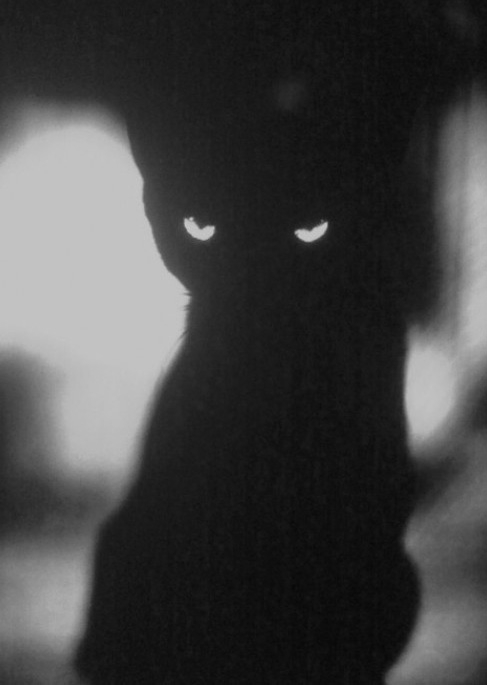 018 (487x685, 92Kb)