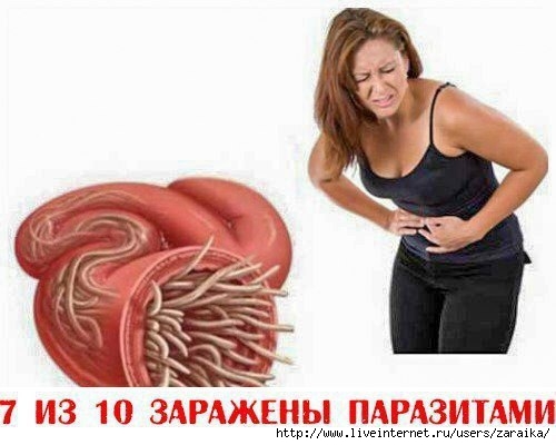 5713211__izbavitsya_ot_parazitov_kotorye_zhivut_prakticheski_v_kazhdom_cheloveke_sovety_ (500x400, 92Kb)