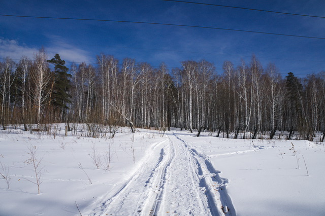 DSC06456 (640x426, 263Kb)