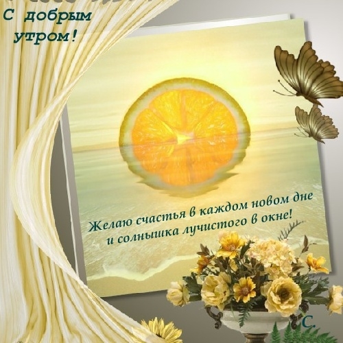 6 (500x500, 172Kb)