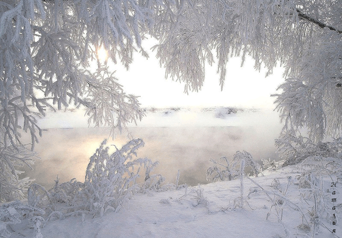2138482_fevral (700x487, 648Kb)