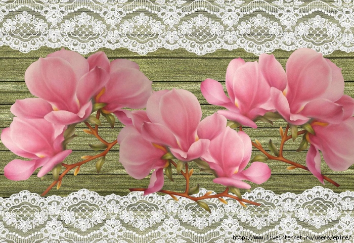 cıcc (700x481, 374Kb)