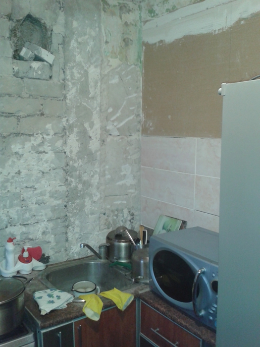 3391947_kyh2_1_ (525x700, 228Kb)