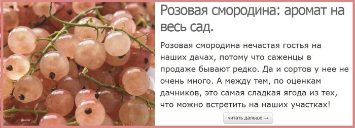 Фейс запах смородины